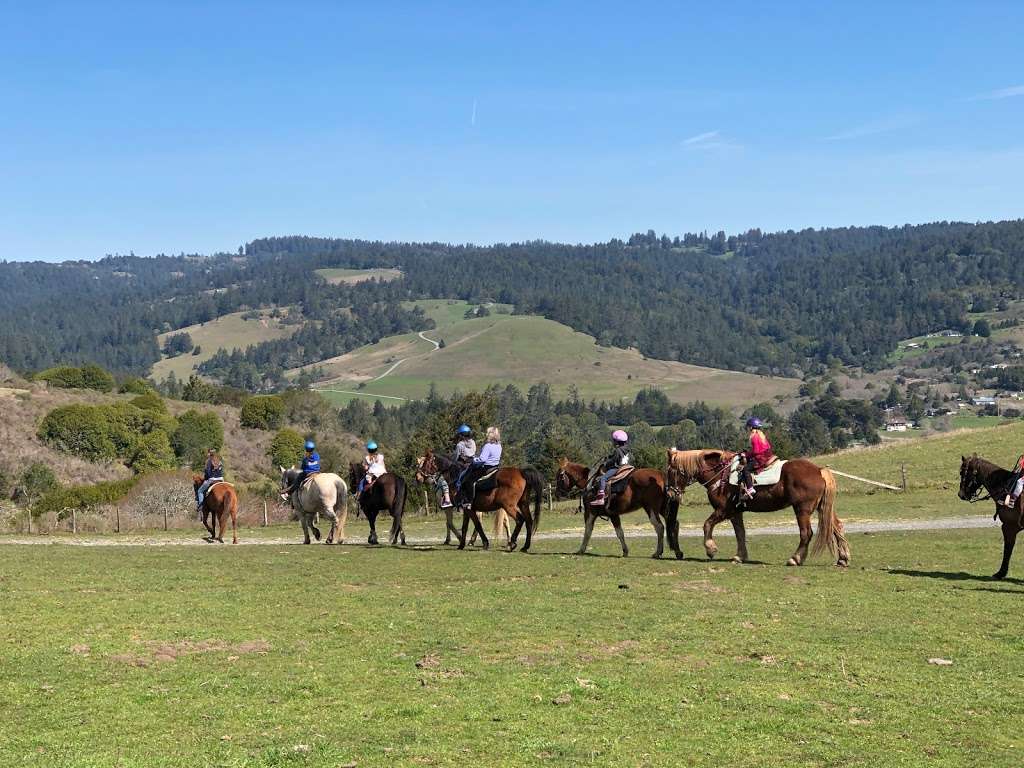 Horse N Around Trail Rides | 18797 CA-1, Bodega Bay, CA 94923, USA | Phone: (707) 875-3333