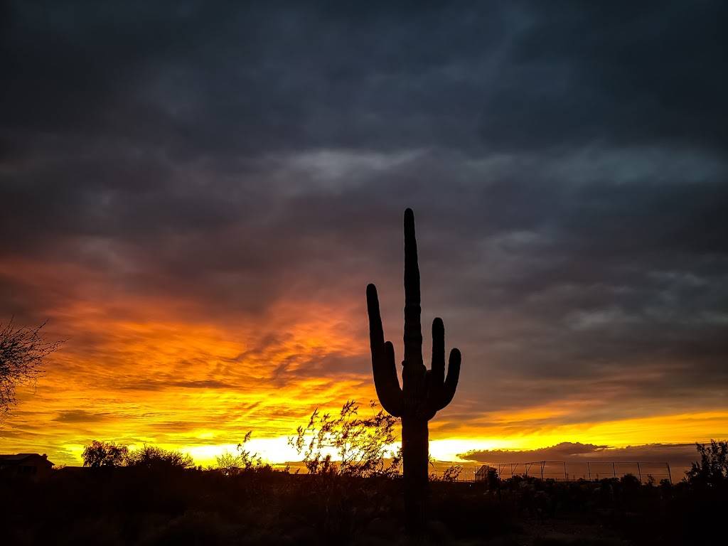 McDowell Mountain Ranch Community Garden | 15109 N 102nd Way, Scottsdale, AZ 85255, USA | Phone: (623) 223-2159