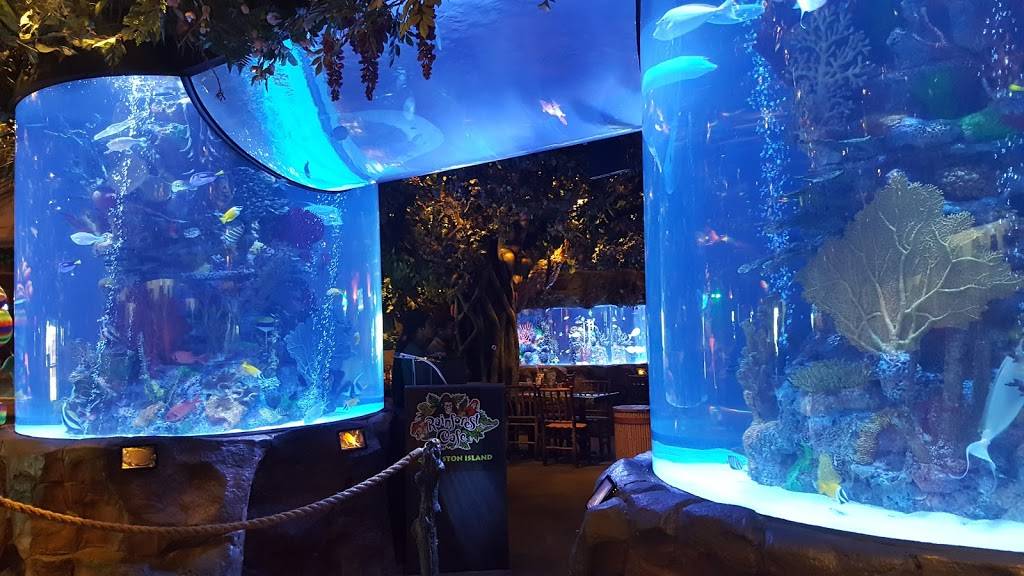 Rainforest Cafe | 5310 Seawall Blvd, Galveston, TX 77551, USA | Phone: (409) 744-6000