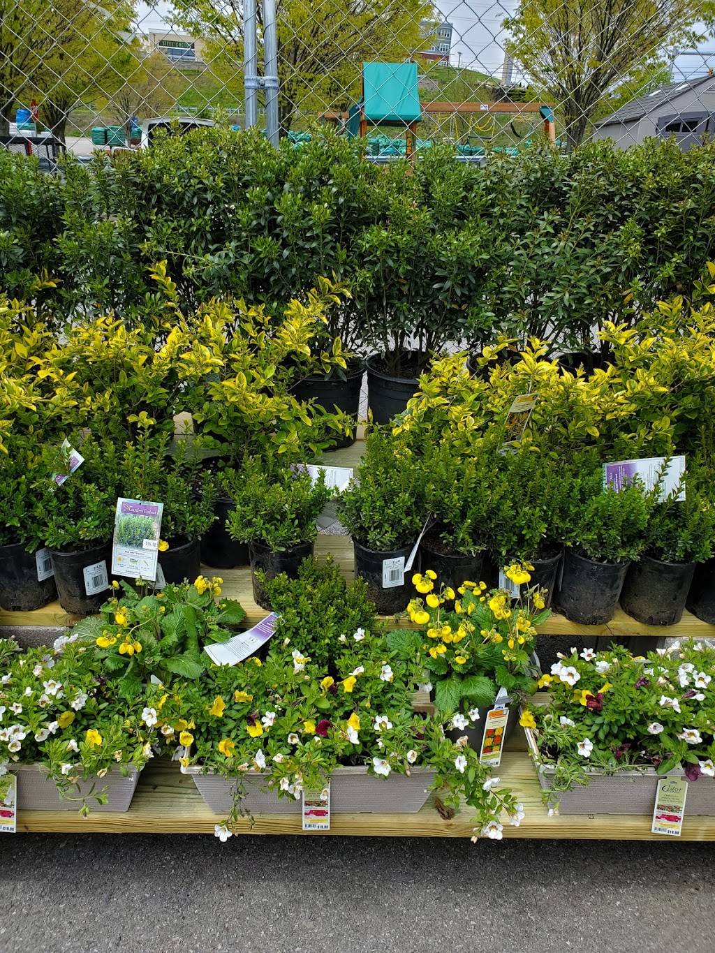 Lowes Garden Center | 5775 Baptist Rd, Bethel Park, PA 15102, USA | Phone: (412) 212-2000