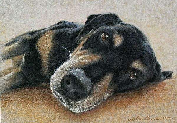 Pet Portraits by Dale Lewis | 2300 SW 22nd Ave Apt# 110, Delray Beach, FL 33445, USA | Phone: (561) 870-4261