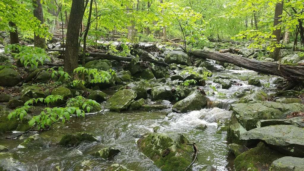 Ringing Rocks County Park | Upper Black Eddy, PA 18972, USA | Phone: (215) 757-0571