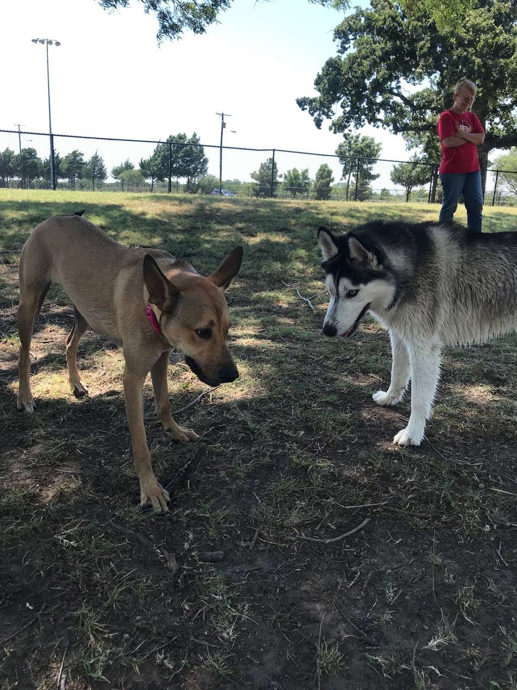 McInnish Dog Park | 2241 Sandy Lake Rd, Carrollton, TX 75006, USA | Phone: (972) 466-3080