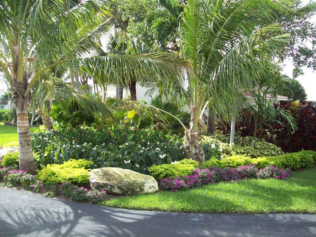 Diamond Cut Lawnscapes and Lawn & Ornamental Spray | 3591 Lone Pine Rd, Delray Beach, FL 33445, USA | Phone: (561) 276-2121