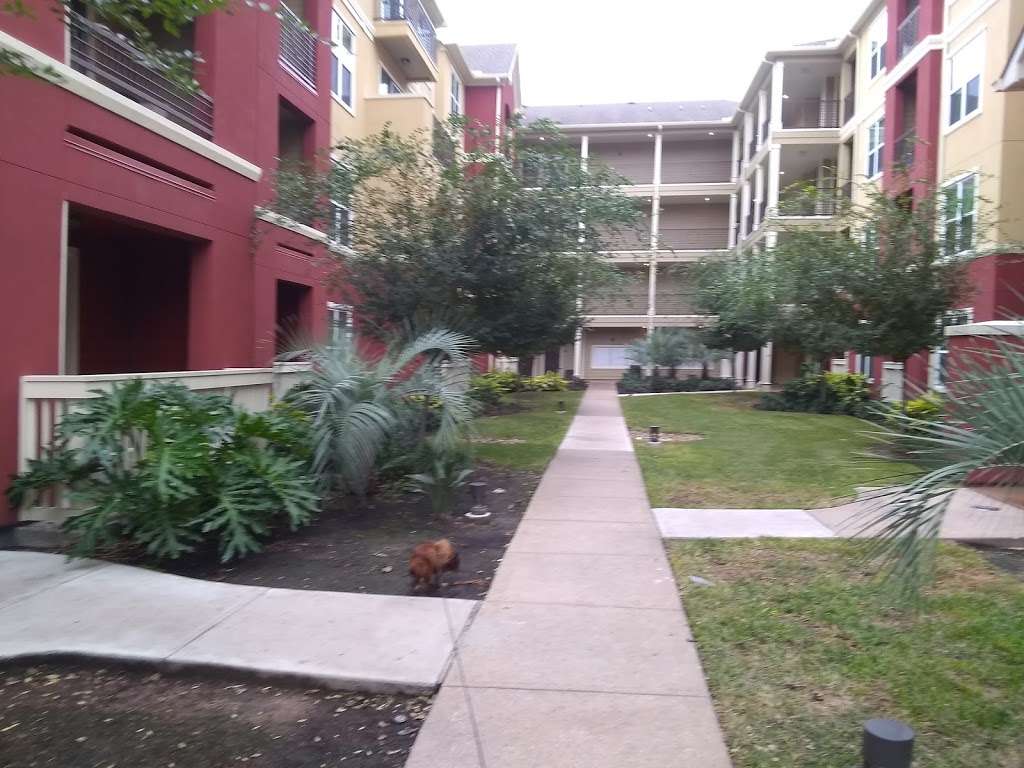 The Viv Apartments | 2210 W Dallas St, Houston, TX 77019, USA | Phone: (866) 789-8462