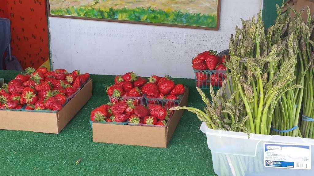 Watmaugh Strawberries | 1120 Watmaugh Rd, Sonoma, CA 95476, USA | Phone: (916) 207-2870