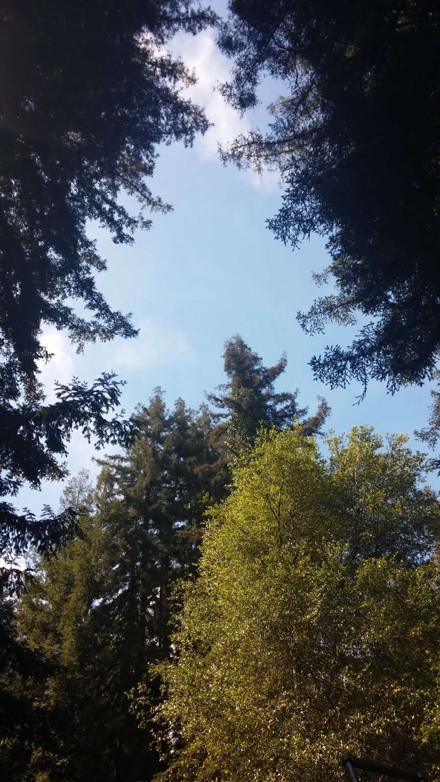 Forest Springs Improvement & Maintenance | 401 Acorn Dr, Boulder Creek, CA 95006, USA | Phone: (831) 338-7134