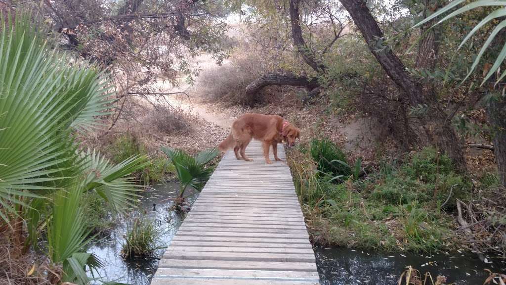 Sycamore Canyon Wilderness Park | 400 Central Ave, Riverside, CA 92507 | Phone: (951) 826-2596