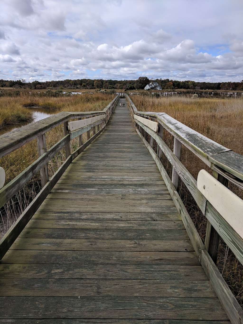 Woodland Beach State Wildlife Management Area | Smyrna, DE 19977