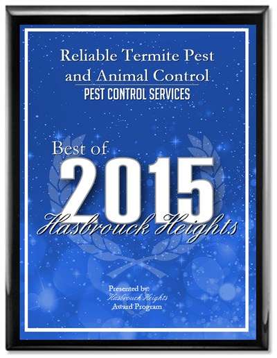 Reliable Termite Pest and Animal Control | 201-211 NJ-17, Hasbrouck Heights, NJ 07604, USA | Phone: (201) 440-4912