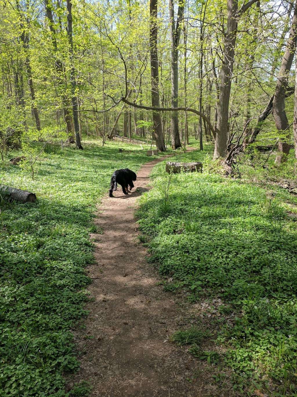 Point Pleasant Community Park | Pipersville, PA 18947