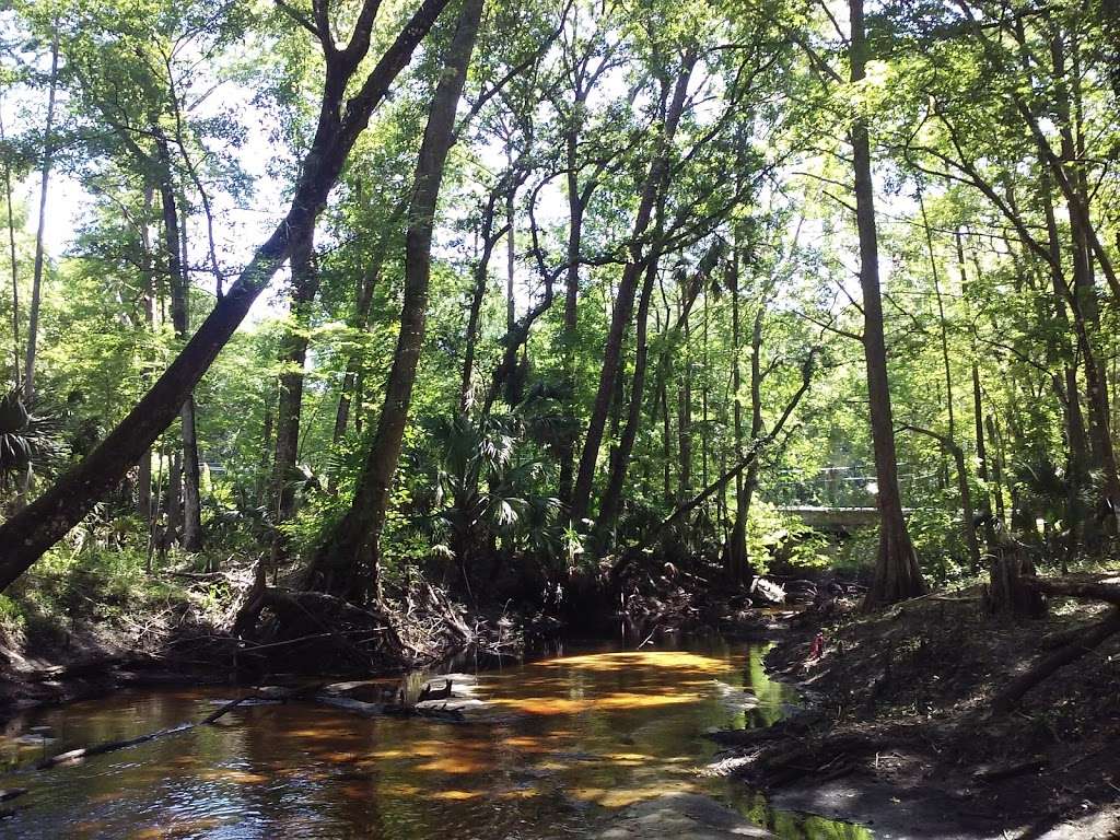 Sportstown Billiards | 2414 E Robinson St, Orlando, FL 32803, USA | Phone: (407) 894-6258