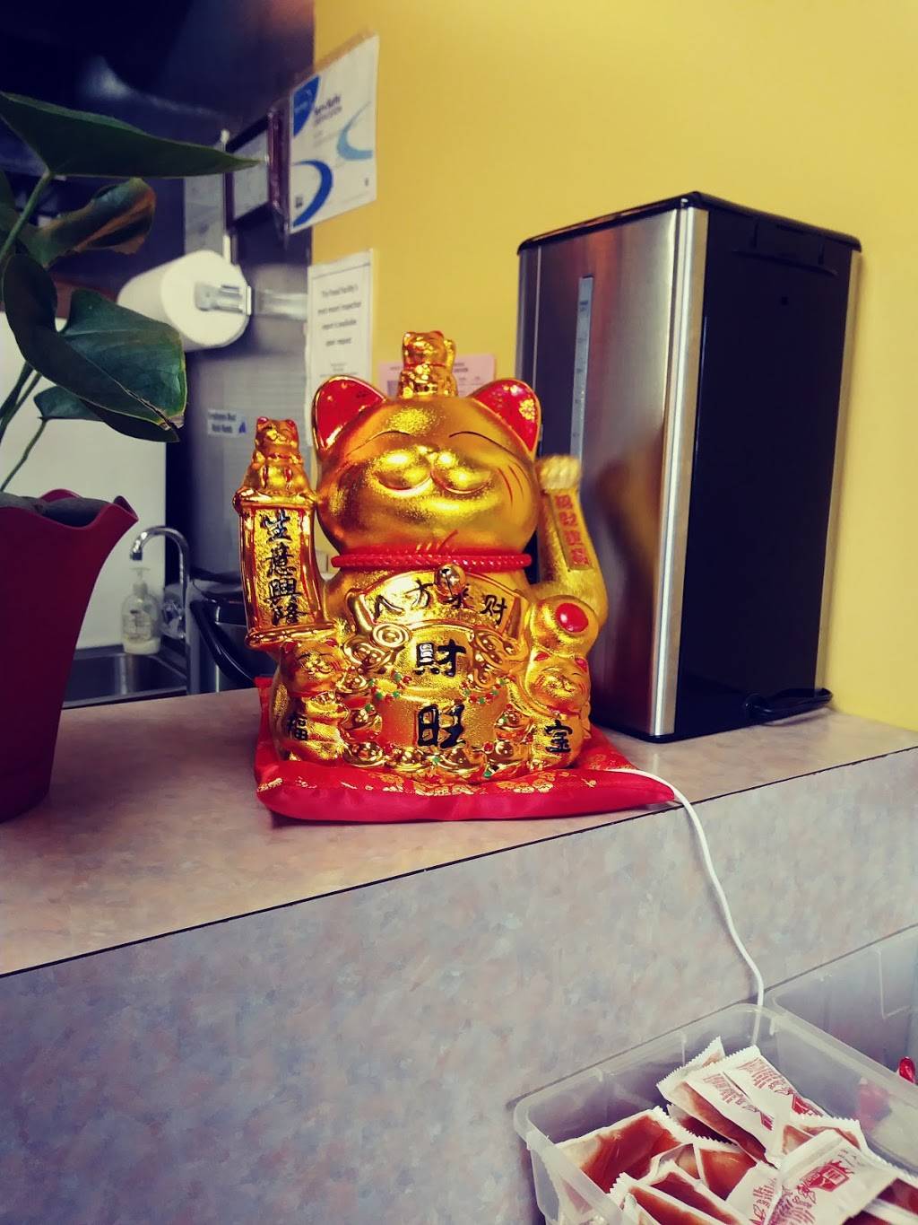 New China | 33 Tremont Rd, Pine Grove, PA 17963, USA | Phone: (570) 345-8666