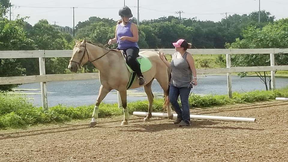 Galaxy Riding School | 5525 Lyons Rd, Garland, TX 75043, USA | Phone: (214) 935-3539