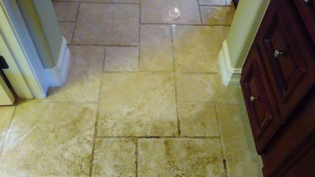 Eco-Steam Carpet Cleaning | 4417 13th St, St Cloud, FL 34769, USA | Phone: (407) 556-5651 Eco-Steam Carpet Cleaning | 4417 13th St, St Cloud, FL 34769, USA | Phone: (407) 556-5651