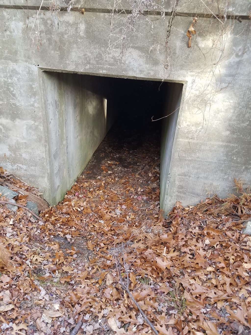 Little Chauncy Pond Trail (Tunnel) | Talbot Rd, Northborough, MA 01532, USA