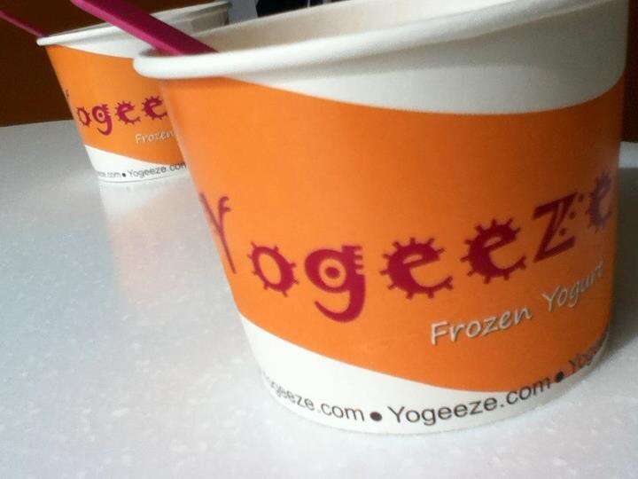 Yogeeze Frozen Yogurt | 2914 Commerce Dr, Johnsburg, IL 60051, USA | Phone: (815) 344-7932