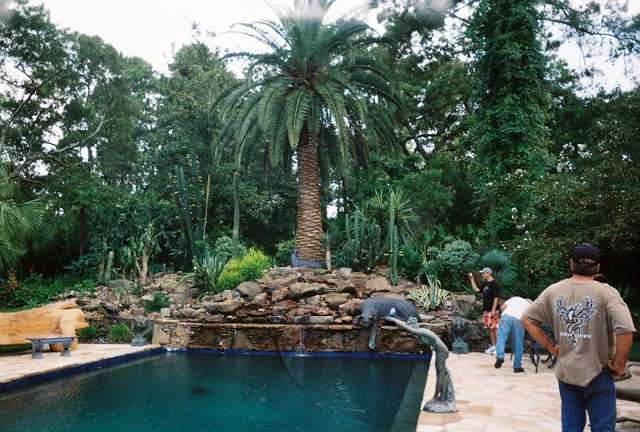 Palm Professionals Tropical Nursery | 20113 Southwest Fwy, Sugar Land, TX 77479, USA | Phone: (713) 621-7256