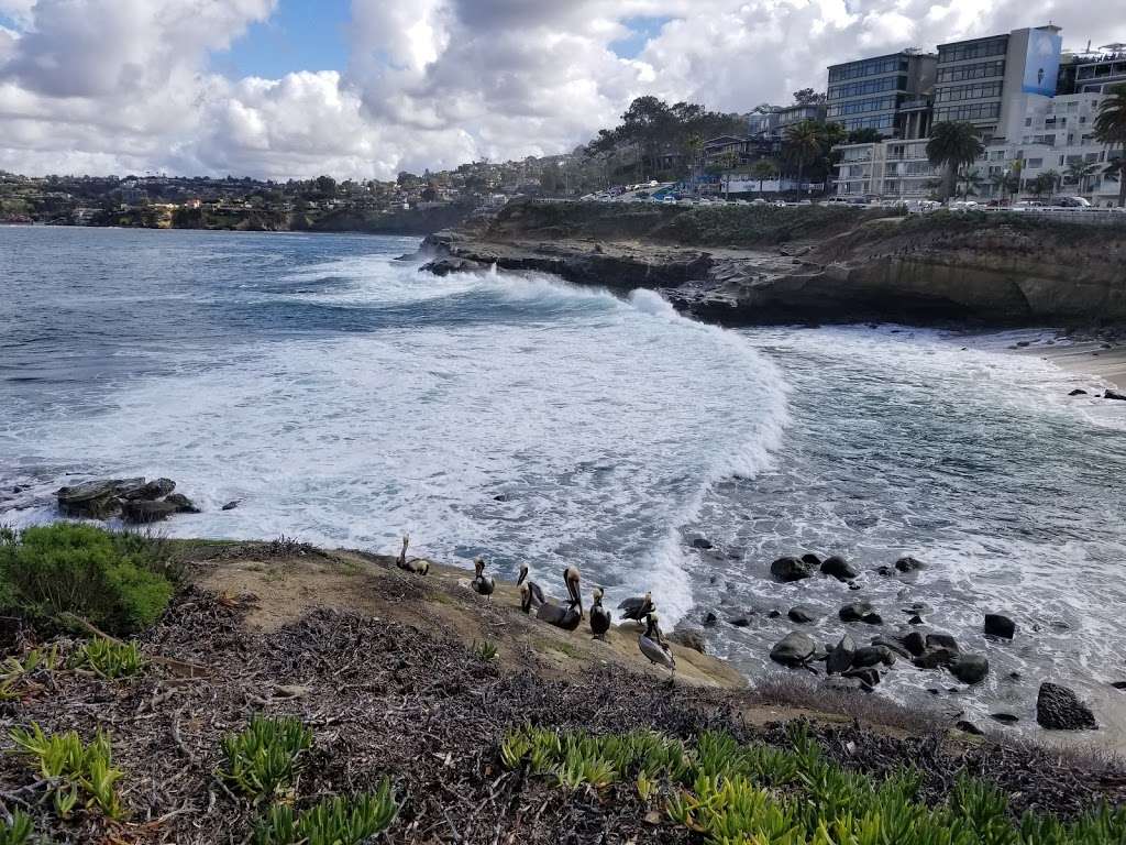 Tide Pool | 1160 Coast Blvd, La Jolla, CA 92037, USA