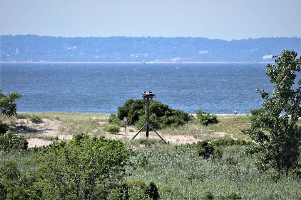 Scenic Overlook | Sandy Hook, NJ 07732, USA