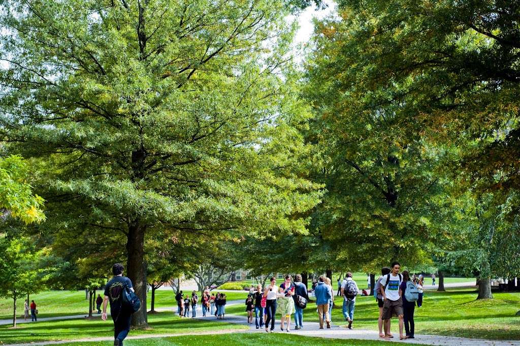 Goucher College | 1021 Dulaney Valley Rd, Baltimore, MD 21204, USA | Phone: (410) 337-6000