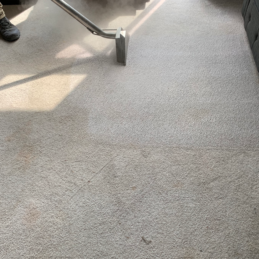 Sixberry Carpet Cleaning | 4365 E, IN-32, Crawfordsville, IN 47933, USA | Phone: (765) 359-1100