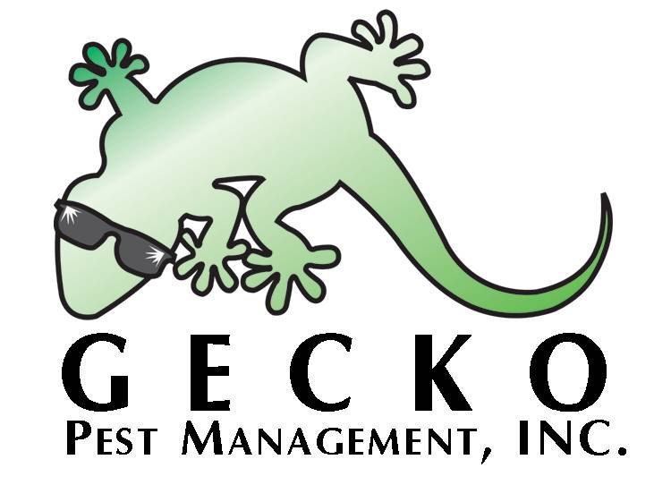 Gecko Pest Management Inc | 1001 S Park Ave, Tucson, AZ 85719, USA | Phone: (520) 579-1701