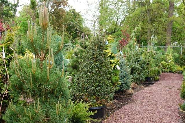 Hammetts Landscaping & Garden Center | 425 S Main St, Forked River, NJ 08731, USA | Phone: (609) 971-0453