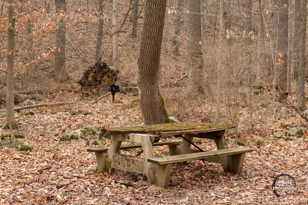 Hacklebarney State Park | 119 Hacklebarney Rd, Long Valley, NJ 07853 | Phone: (908) 638-8572