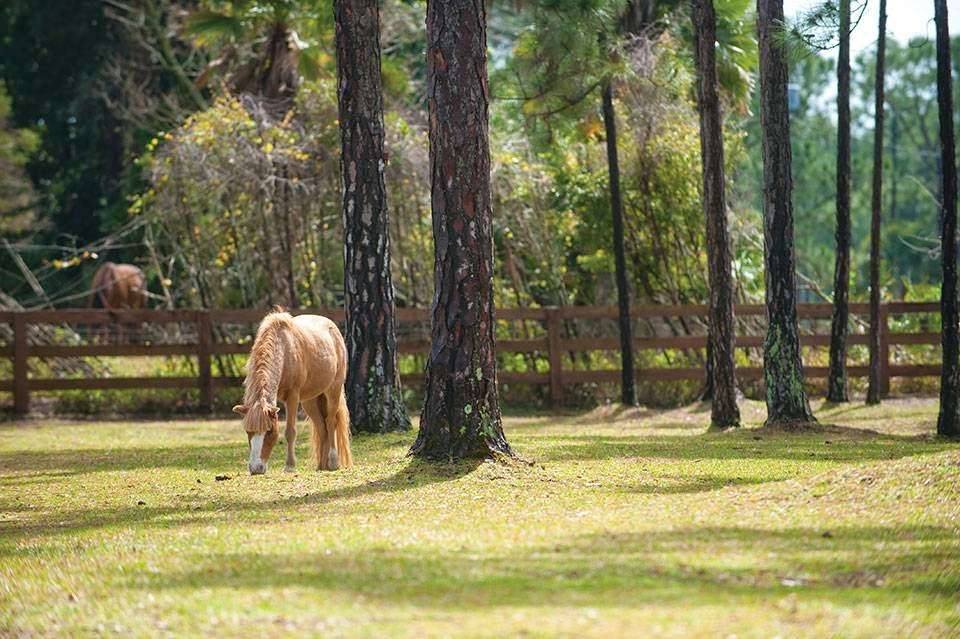 Behavioral Health of the Palm Beaches | 7859 Lake Worth Rd, Lake Worth, FL 33467, USA | Phone: (561) 264-1138