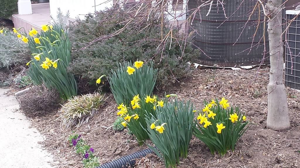 Reiki Center of Greater Washington | 214 N Adams St #2, Rockville, MD 20850, USA | Phone: (301) 963-0787