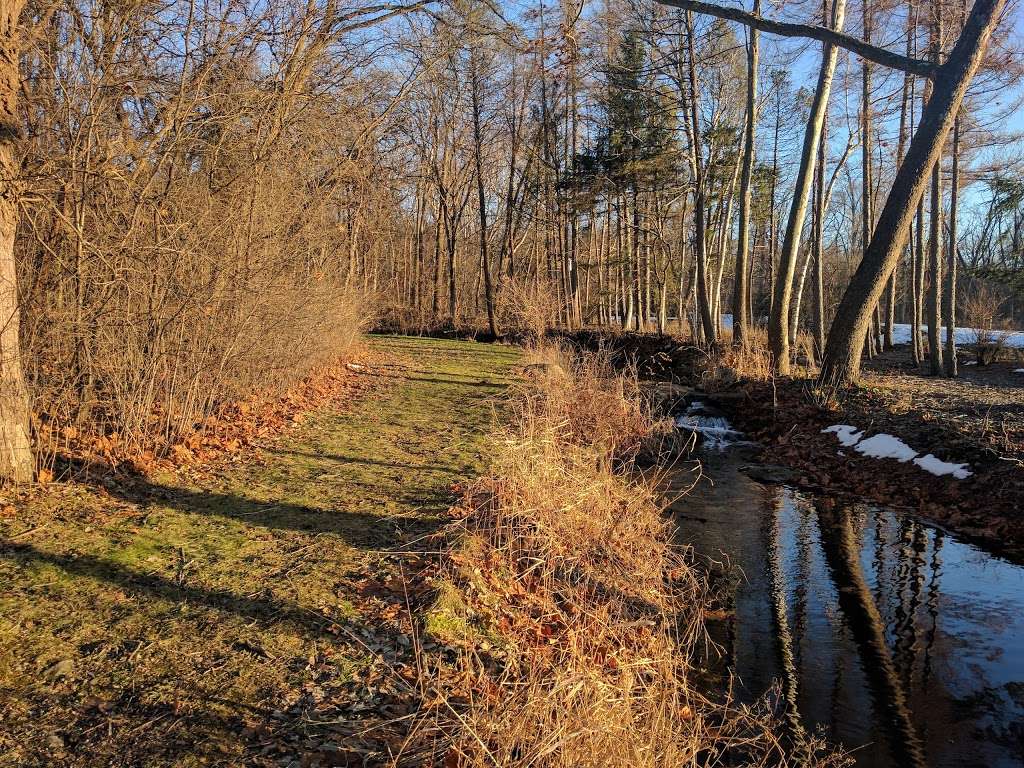 Trout Park Nature Preserve | Dundee Township, IL 60118