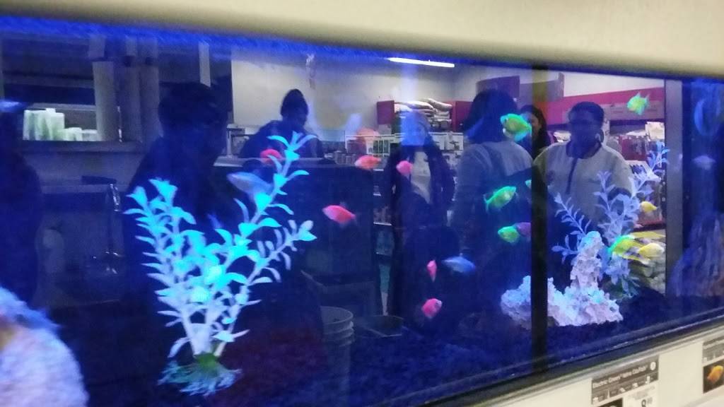 Petco | 1014 Shoppes At Midway Dr, Knightdale, NC 27545, USA | Phone: (919) 217-2560