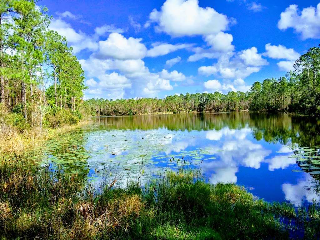 Tiger Bay State Forest | 4316 W International Speedway Blvd, Daytona Beach, FL 32124 | Phone: (386) 317-3277