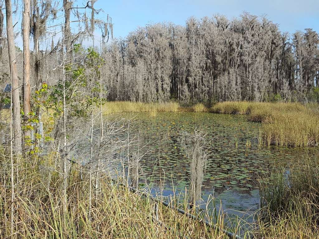 Tibet-Butler Nature Preserve | 8777 Winter Garden Vineland Rd, Orlando, FL 32836 | Phone: (407) 254-1940