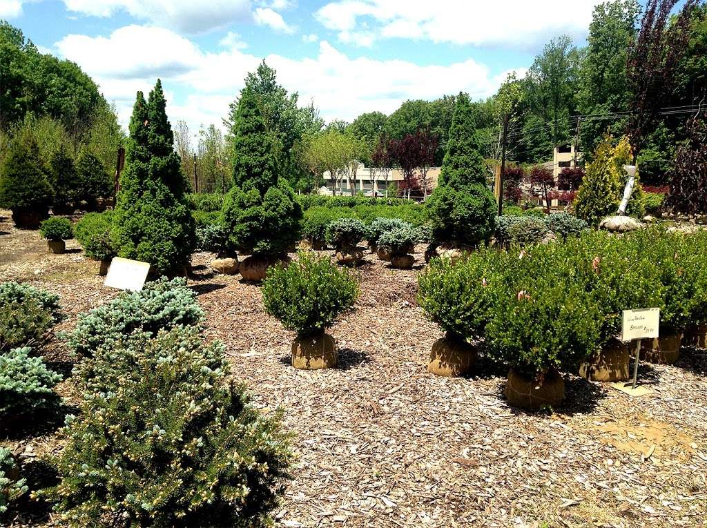 Eastbound Garden Center | 1021 NJ-10, Randolph, NJ 07869, USA | Phone: (973) 970-9740