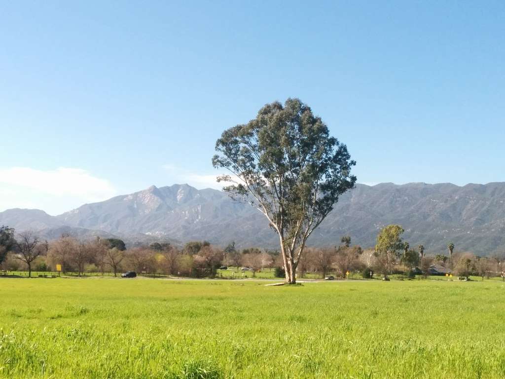 Ojai Meadows Preserve | 1447-, 1601 Maricopa Hwy, Ojai, CA 93023, USA | Phone: (805) 649-6852