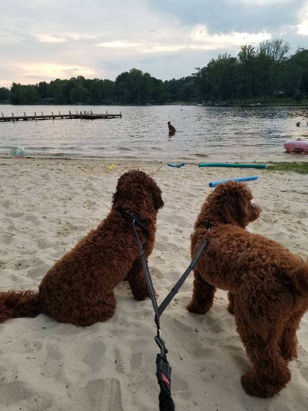 Lynwood Lakes Lakeside Picnic Area (Members Only,not open to the | 2203 Lynwood Dr, Greensboro, NC 27406, USA | Phone: (980) 213-9360