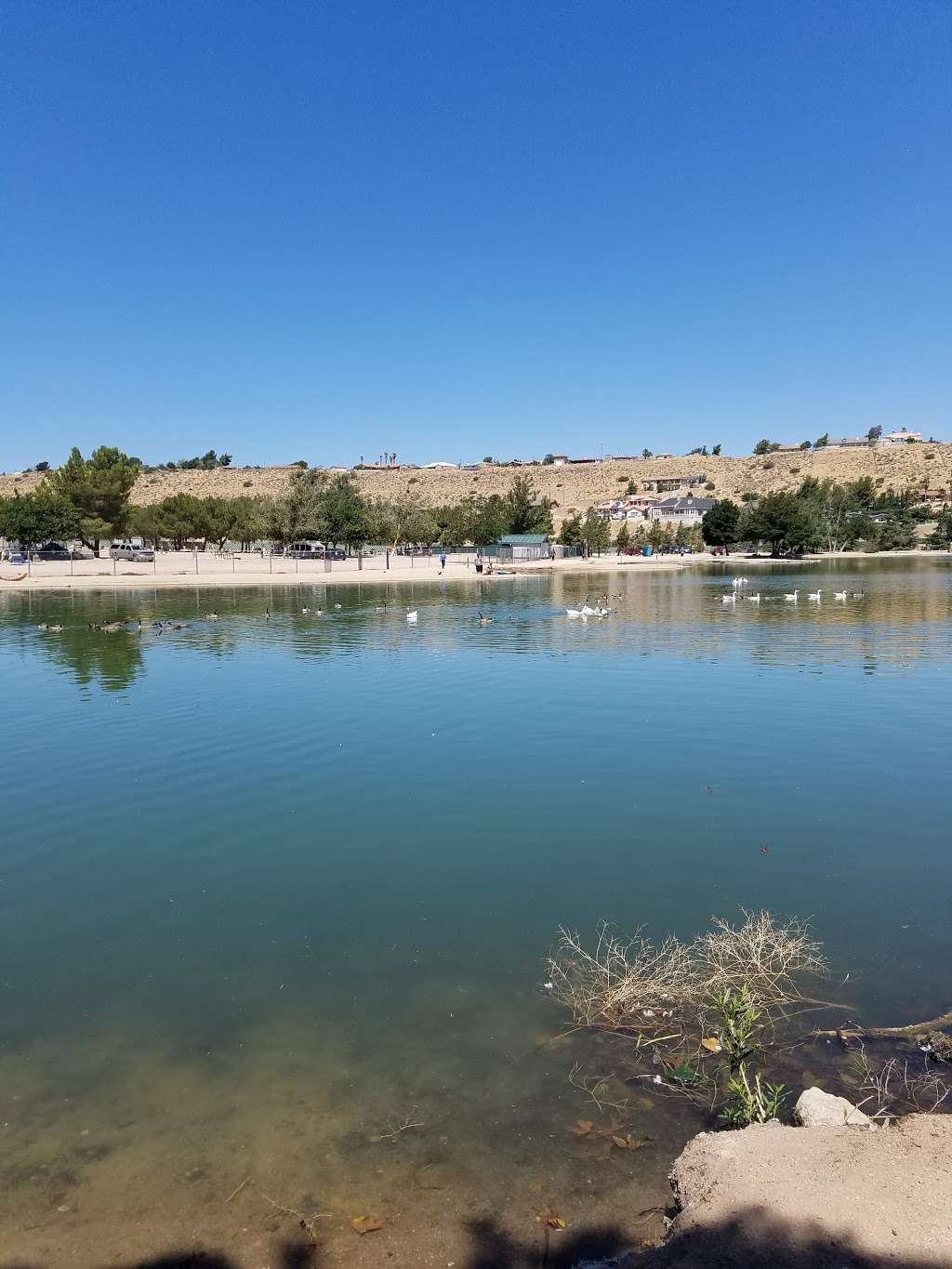 Hesperia Lake Park | 7546, 7500 Arrowhead Lake Rd, Hesperia, CA 92345, USA | Phone: (760) 244-5951