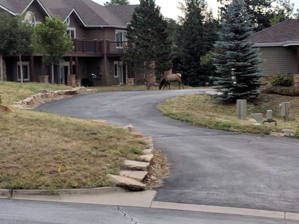 Estes park | Unnamed Road, Estes Park, CO 80517