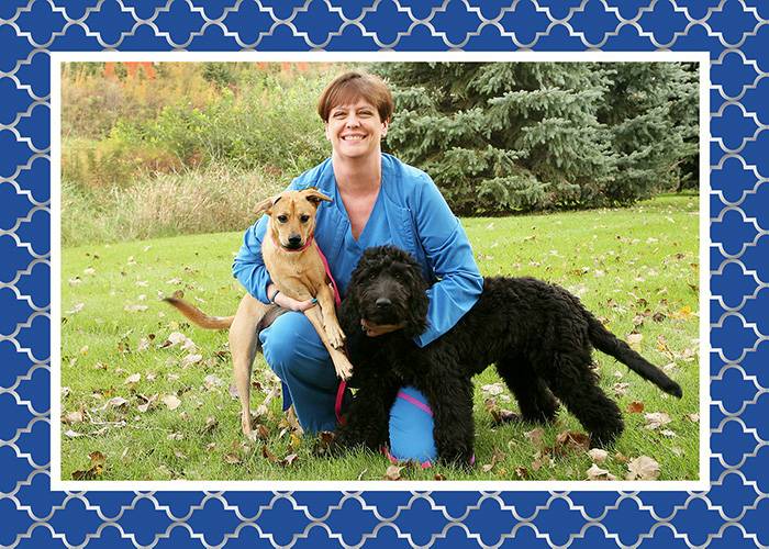 Apache Animal Hospital | 2503 37th Ave NE, St Anthony, MN 55421 | Phone: (612) 781-2734