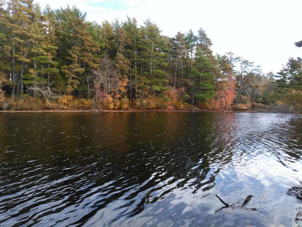 Myles Standish State Forest | 194 Cranberry Rd, Carver, MA 02330, USA | Phone: (508) 866-2526
