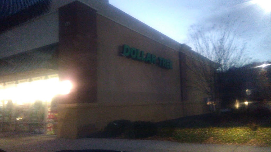 Dollar Tree | 131 Miller Pond Rd, Rock Hill, SC 29732, USA | Phone: (803) 324-8550