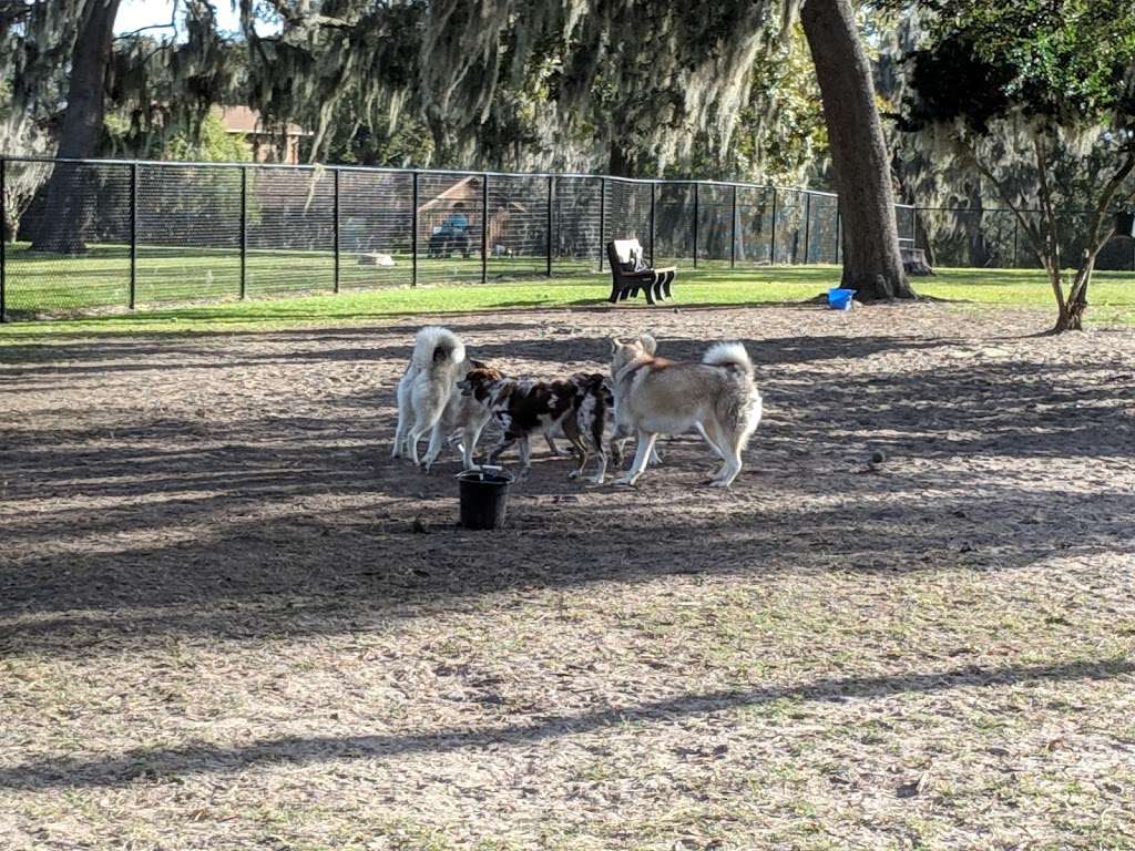 Doctors Dog Park | 21 N Highland Ave, Apopka, FL 32703, USA | Phone: (407) 703-1784