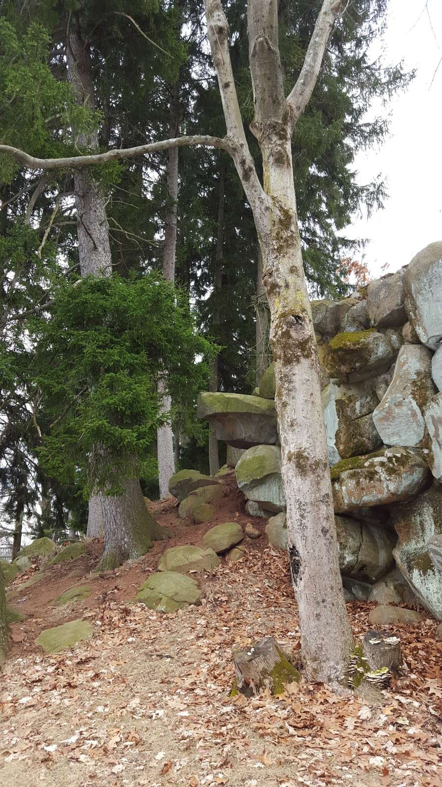 Pet Cemetery at Duke Farms | Hillsborough Township, NJ 08844, USA