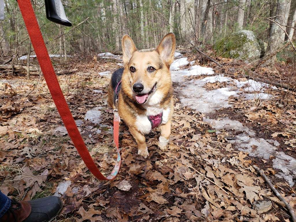 Mt Pisgah Bennett Trail Parking | 514-720 Lyman Rd, Northborough, MA 01532, USA