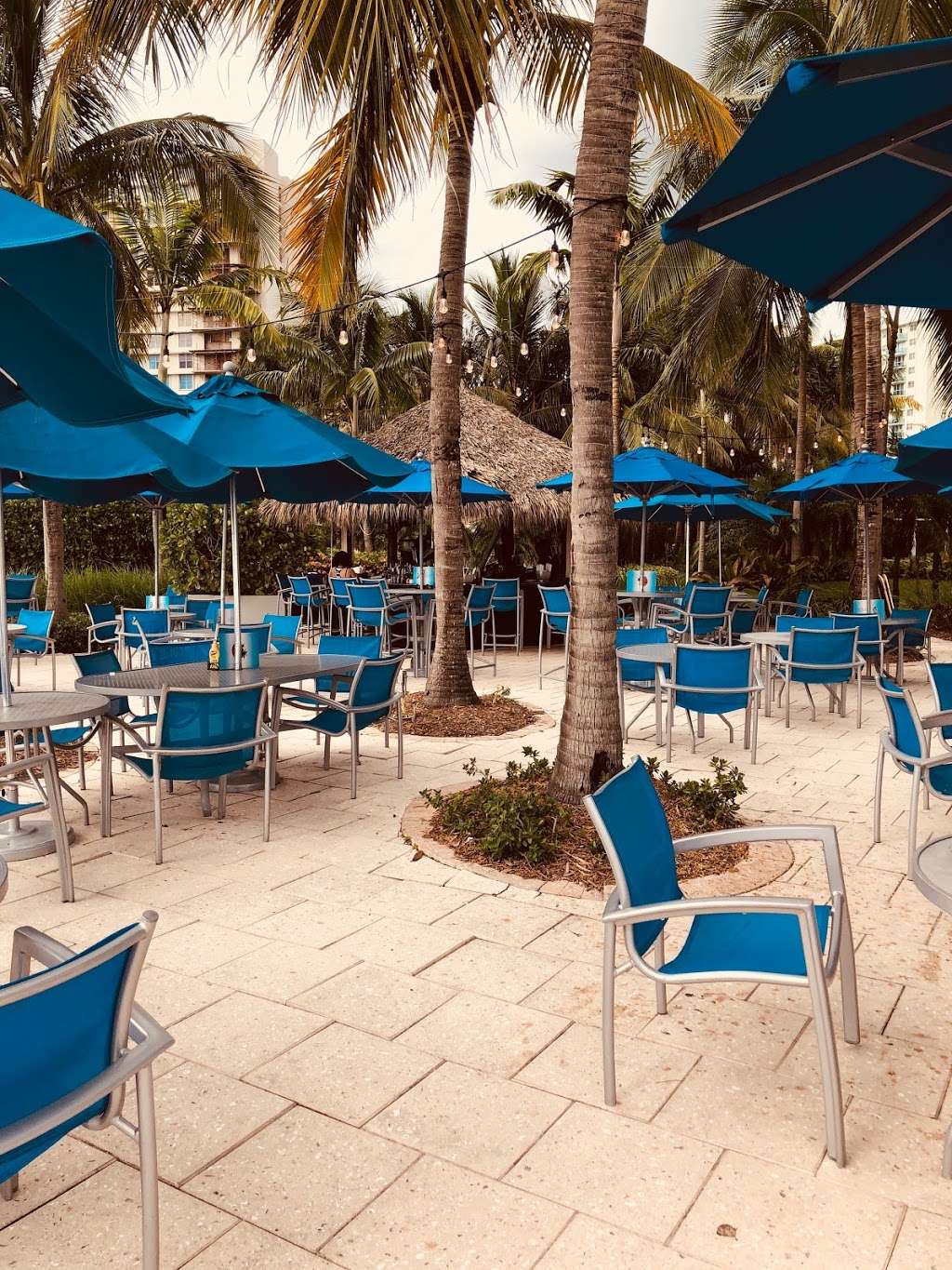Port South Bar & Grill | 4000 S Ocean Dr, Hollywood, FL 33019, USA | Phone: (954) 367-1115