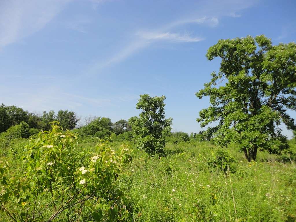 Cressmoor Prairie Nature Preserve | N Lake Park Ave, Hobart, IN 46342, USA | Phone: (219) 242-8558