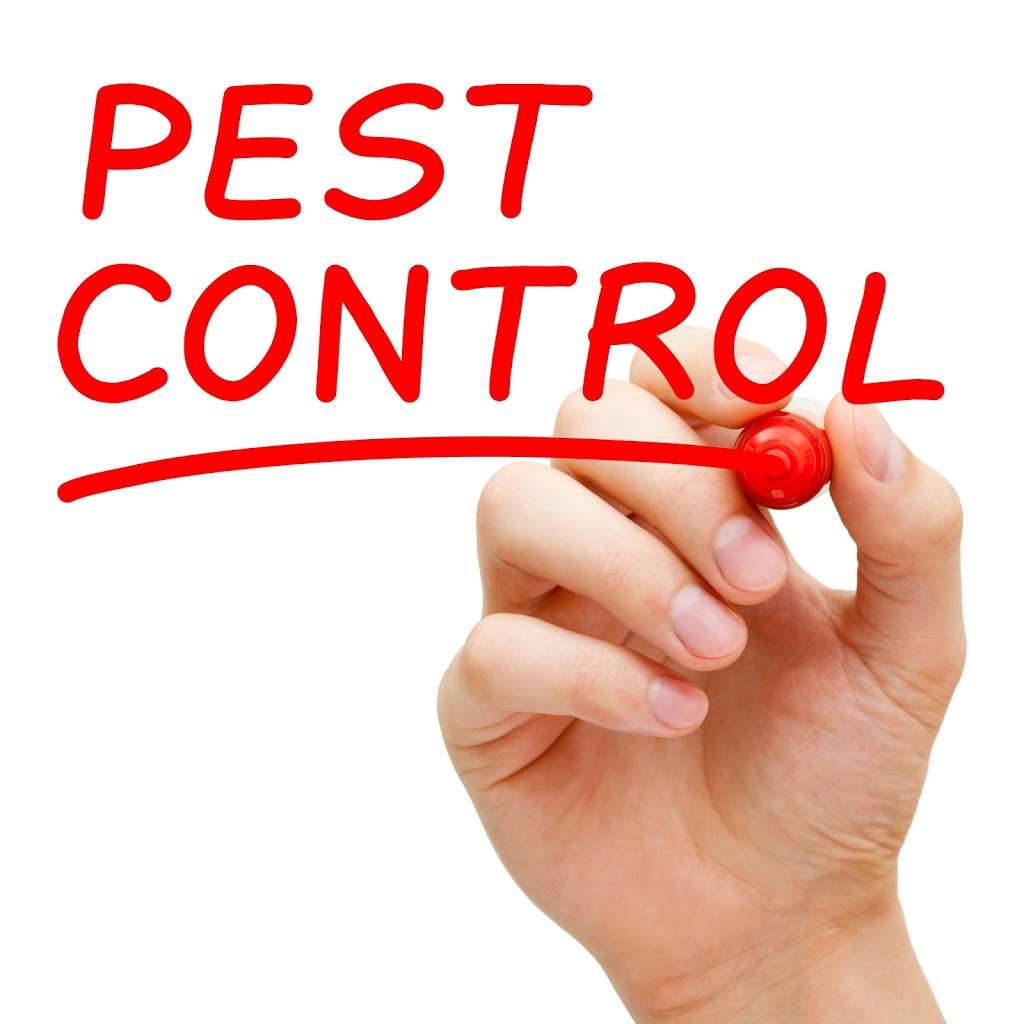 Daddy’s Pest Solutions | 9450 SW 8th St #10, Boca Raton, FL 33428, USA | Phone: (561) 870-1784