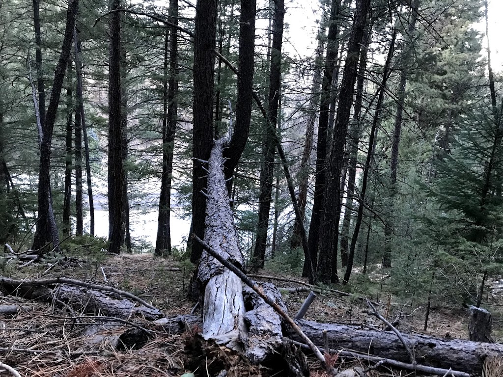 Cub Creek Trail Head | Club Creek Trail, Evergreen, CO 80439, USA